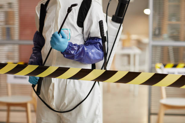 Professional Sewage Cleanup technician working in New London, IA